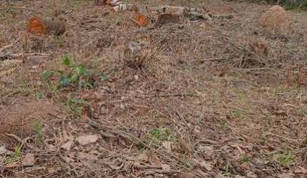 Terreno a venda em Atibaia ,bairro Jardim Maracanã