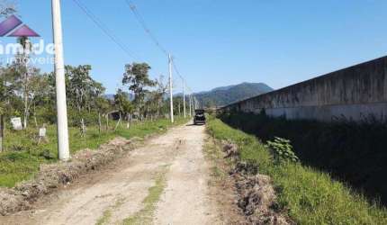 Terreno à venda, 278 m² por R$ 80.000,00 - Balneário dos Golfinhos - Caraguatatuba/SP
