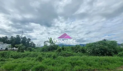 Terreno à venda, 257 m² por R$ 105.000,00 - Balneário dos Golfinhos - Caraguatatuba/SP