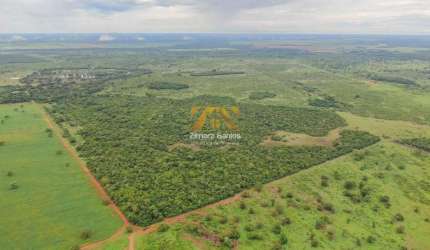 Fazenda, 1.089 alqueires - Centro - Pium/TO