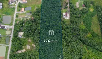 Sítio / Chácara para Venda em Joinville, Vila Nova
