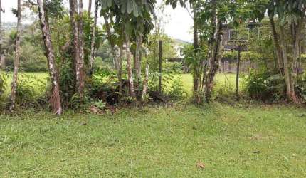 Terreno à venda, 1450 m² por R$ 1.300.000,00 - Marinas - Guarujá/SP
