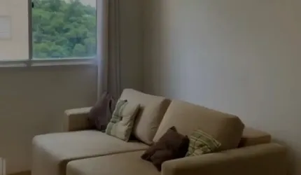 100% Mobiliado  completo Apartamento locação Condomínios  Inspire verde Barueri