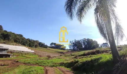 Chácara à venda no bairro Santa Lúcia do Piaí - Caxias do Sul/RS