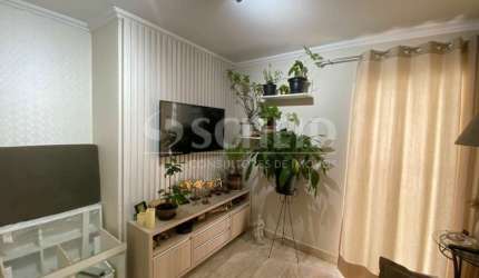 Apartamento 2 dormitórios e 1 vaga à venda na Vila Mascote