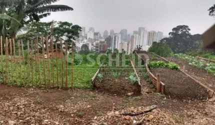 Terreno Comercial 1.789 m² na Avenida Morumbi ? Oportunidade Única!