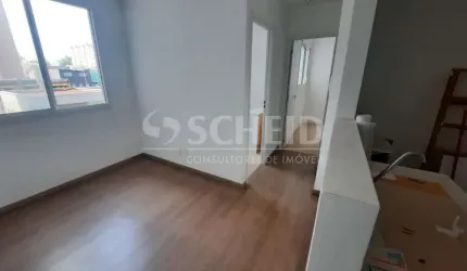 Oportunidade: Apartamento novo na Vila Santa Catarina com 2 quartos com piso e móveis