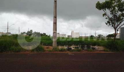Terreno a venda no bairro Portal do Vale em Uberlândia