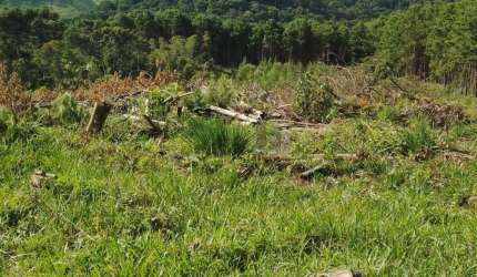 Terreno à venda no Bom Jardim, Camanducaia , 20000 m2 por R$ 321.000