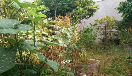 Casa térrea com 3 quartos à venda em Vila Ipojuca - SP