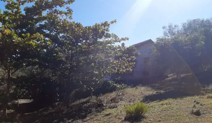 Terrenos Residenciais em Ribeirão da Ilha