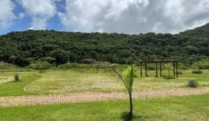 Terrenos Residenciais em Rio Tavares