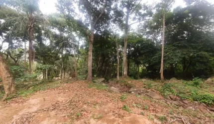 Terreno Comercial/Residencial em Ratones