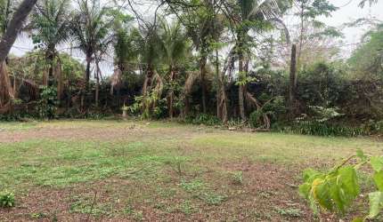 Terreno à venda, Jardim Recreio Lago dos Paturis, Pederneiras, SP