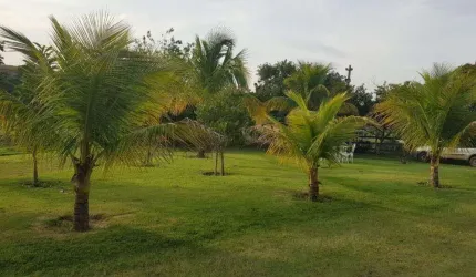Sítio à venda Elias Fausto/SP