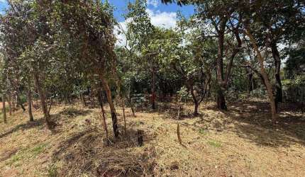 Terreno à venda, 1000 m² por R$ 120.000 - Santa Cruz - Mateus Leme/MG