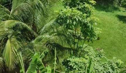 Apartamento para Venda em Rio de Janeiro, Campo Grande, 3 dormitórios, 1 banheiro