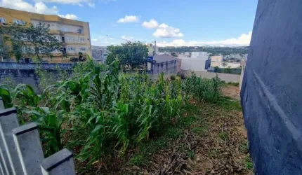Terreno à venda Jardim Cláudia Pinhais/PR