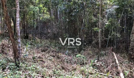 Terreno à venda, 6445 m² por R$ 220.000,00 - Albuquerque - Teresópolis/RJ