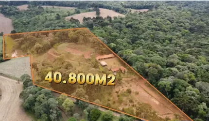 Sitio com 40800 m² em campo Alegre