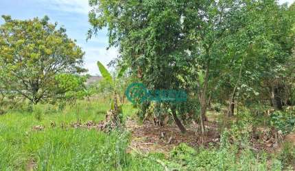 Terreno à venda, 4570 m² por R$ 900.000,00 - Centro - Confins/MG