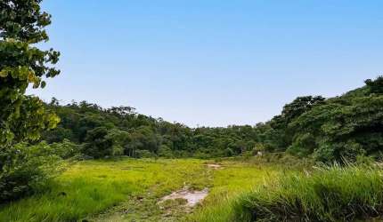 Terreno em condomínio em Pedro do Rio, Petrópolis