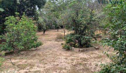 Terreno à venda, 1000 m² por R$ 425.000,00 - Recanto Campestre Viracopos Gleba 2 - Indaiatuba/SP