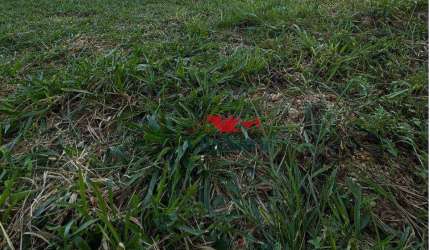 TERRENO COM 581,50M² À VENDA NO NOVÍSSIMO RESIDENCIAL SANTA MARIA EM INDAIATUBA SP