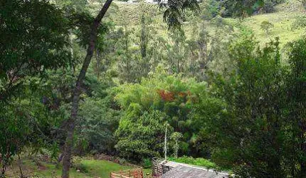 Sítio à venda, 203 m² por R$ 1.300.000,00 - Rural - Faxinal/PR