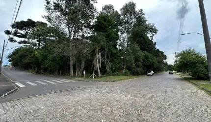 Área, 20.295,67m², à venda em Piraquara, Vila Ipanema