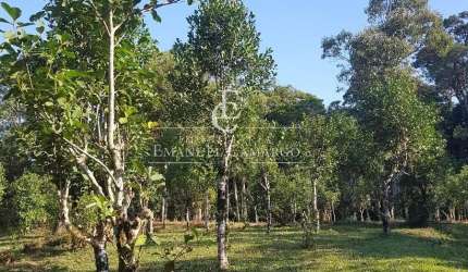 Chácara a venda em Piraquara-PR