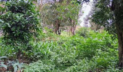Terreno a venda em Pitraquara-PR