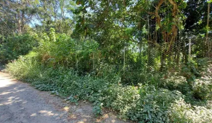 Terreno à venda, 5100 m² por R$ 1.600.000,00 - Granja Viana - Cotia/SP