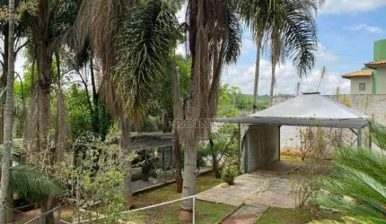 Terreno, 1672 m² - venda por R$ 975.000 ou aluguel por R$ 5.337/mês - Chácara Pavoeiro - Granja Viana