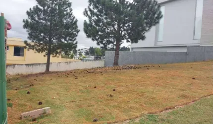 Terreno à venda, 508 m² por R$ 1.526.000,00 - Alphaville Granja Viana - Carapicuíba/SP