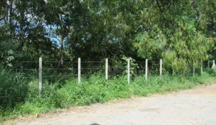 Terreno à venda, 2000 m² por R$ 2.500.000,00 - Granja Viana - Cotia/SP