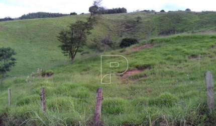 Área à venda, 121000 m² por R$ 2.000.000,00 - Jardim Camargo (Canguera) - São Roque/SP
