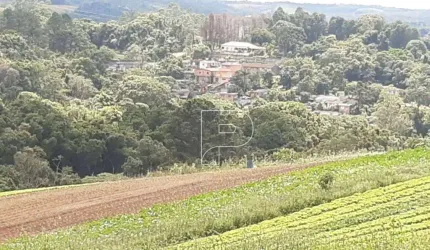 Área à venda, 39000 m² por R$ 870.000,00 - Carmo Messias - Ibiúna/SP