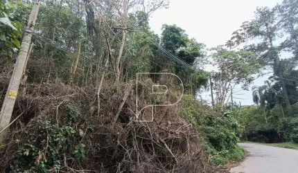 Terreno à venda, 6475 m² por R$ 1.300.000,00 - Parque Rincão - Cotia/SP