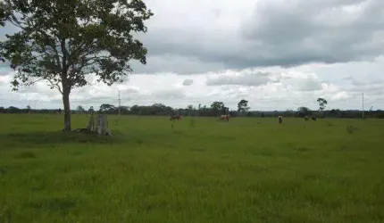 Área à venda para loteamento residencial, 196000 m² por R$ 74.500.000 - Granja Viana - Cotia/SP