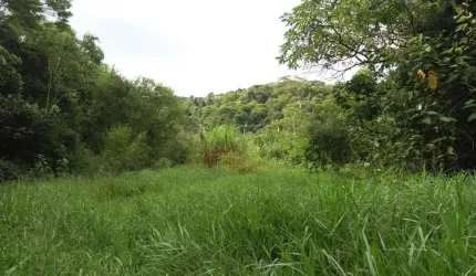 Área à venda, 6769 m² por R$ 1.354.000,00 - Granja Viana - Cotia/SP