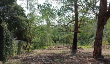 Terreno à venda, 3215 m² por R$ 2.300.000,00 - Granja Viana - Cotia/SP