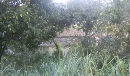 Terreno à venda na Doutor Nilo Peçanha, 1452, Marapé, Santos por R$ 4.800.000