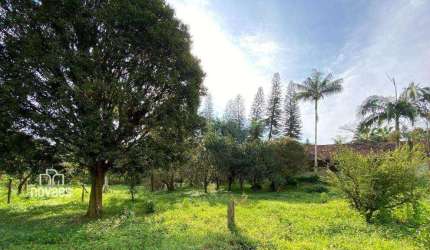 Terreno à venda, 446100 m² por R$ 1.990.000,00 - Barrancos - Garuva/SC
