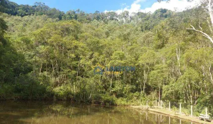 Sítio de 2 Alqueires à Venda em Nazaré Paulista, SP