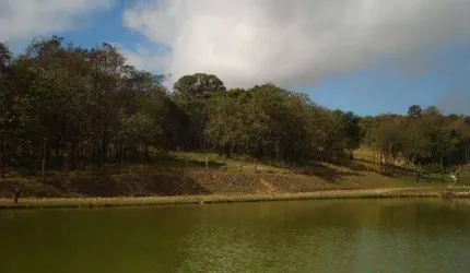 Sítio rural à venda, Região da Castelo Branco, Itu.