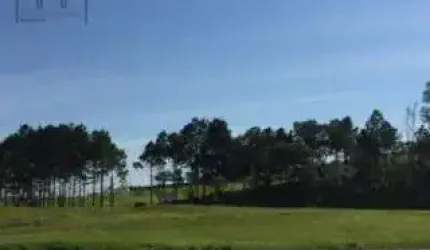 Área, 10900 m² - venda por R$ 3.900.000,00 ou aluguel por R$ 10.000,00/mês - Vila Artura - Sorocaba/SP