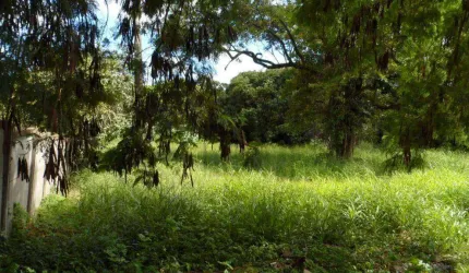 Área à venda, 4015 m² por R$ 640.000,00 - Jardim Tatuí - Tatuí/SP