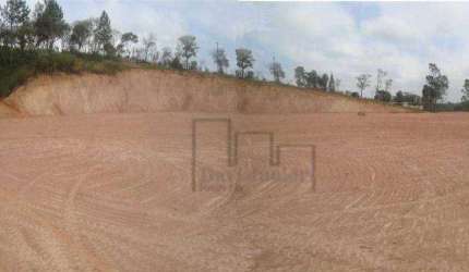 Terreno à venda, 10000 m² por R$ 2.000.000,00 - Condomínio Recanto dos Pássaros - Alumínio/SP