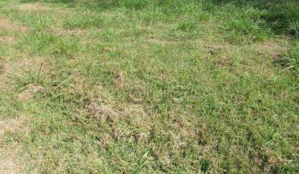 Terreno à venda, 360 m² por R$ 350.000,00 - Loteamento Residencial Reserva Do Engenho - Piracicaba/SP
